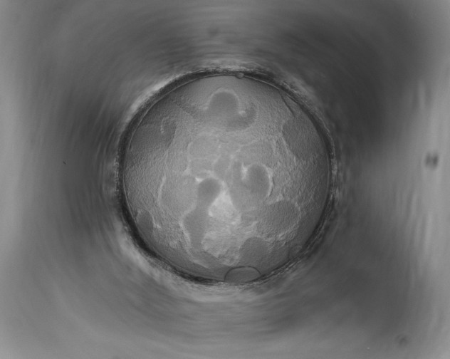 X0000115330012200911161819