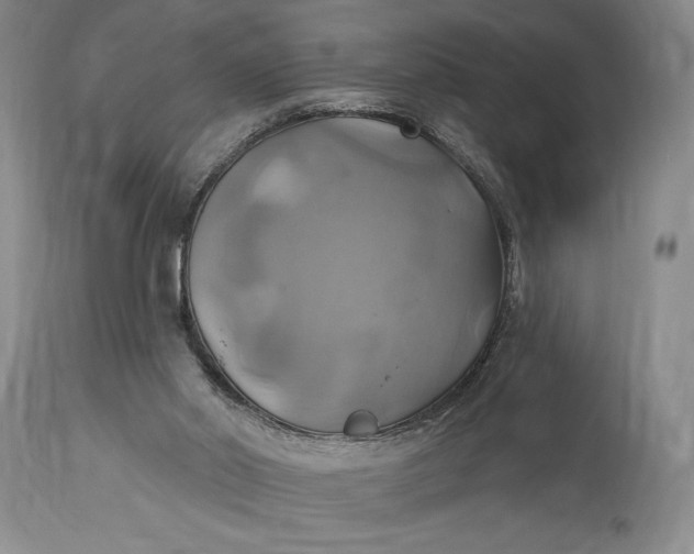 X0000115330014200911161819