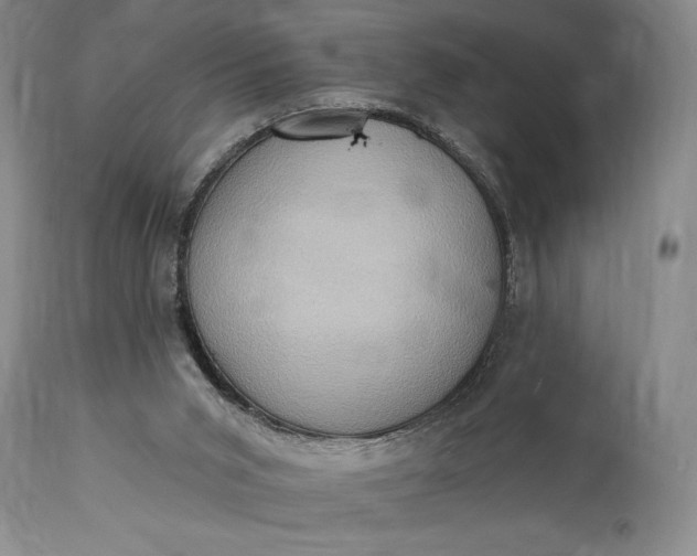 X0000115330015200911161819