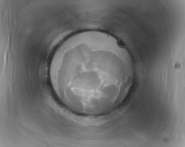 X0000115330016200911161819