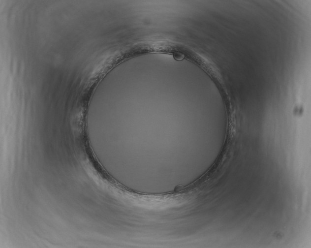 X0000115330018200911161819