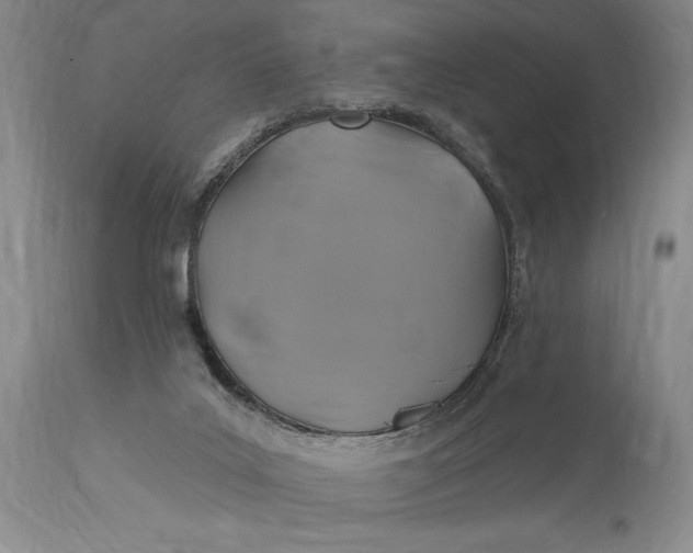 X0000115330019200911161819