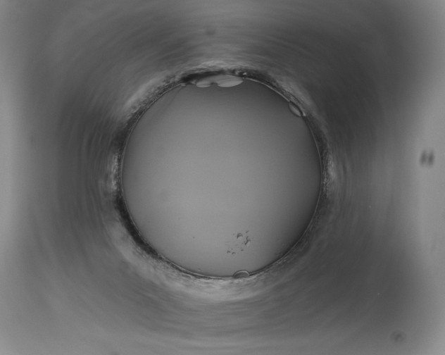 X0000115330023200911161819