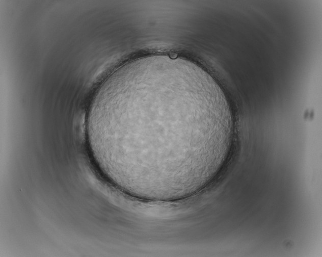 X0000115330024200911161819