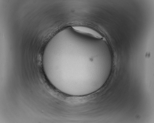 X0000115330025200911161819