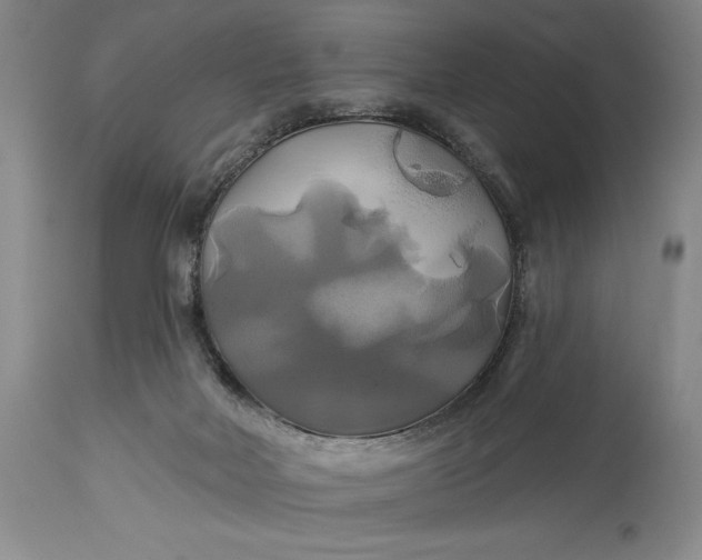 X0000115330026200911161819