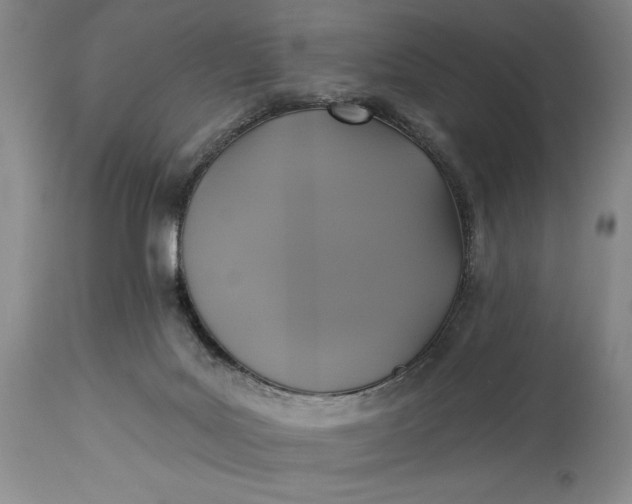 X0000115330027200911161819