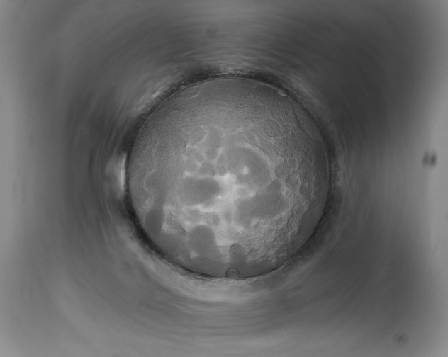 X0000115330028200911161819