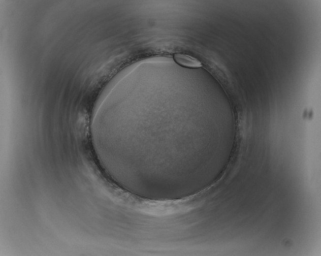 X0000115330029200911161819