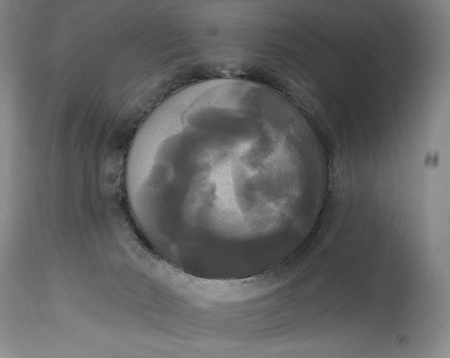 X0000115330030200911161819