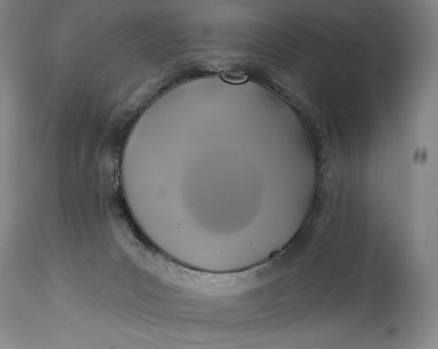 X0000115330031200911161819