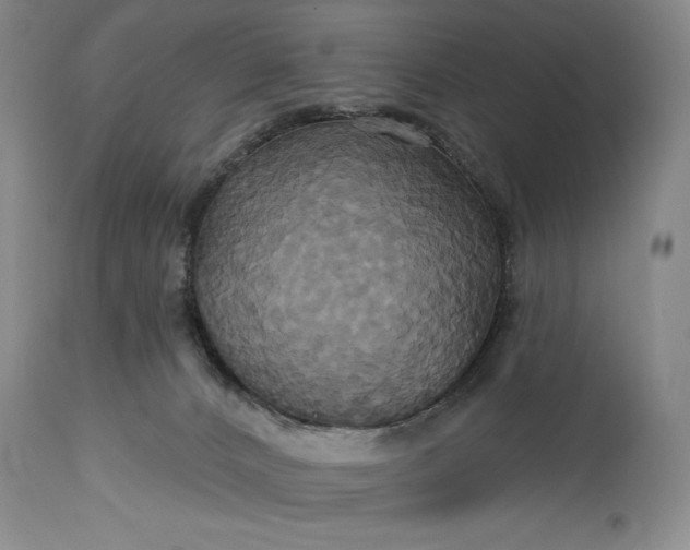 X0000115330032200911161819