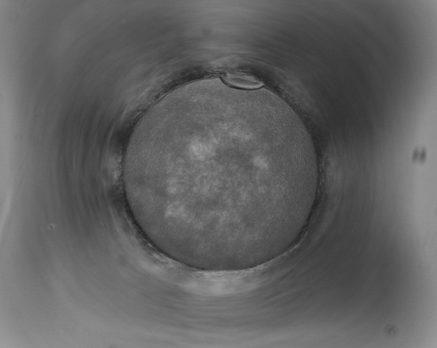 X0000115330033200911161819