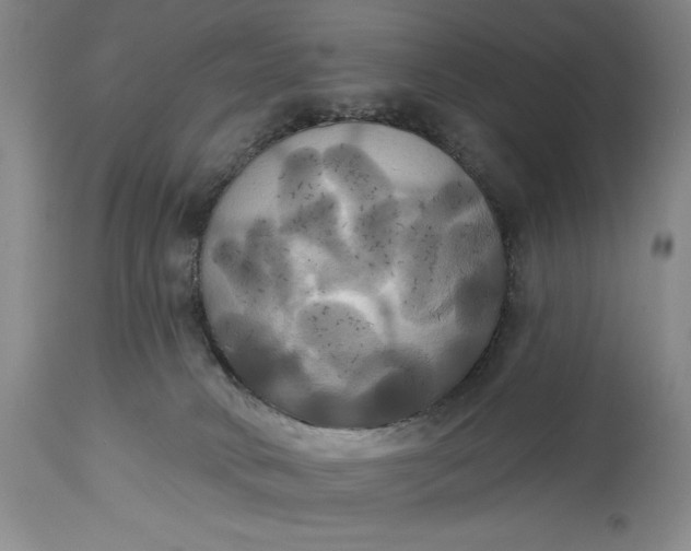 X0000115330034200911161819