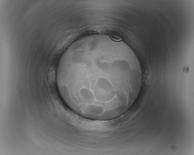 X0000115330036200911161819