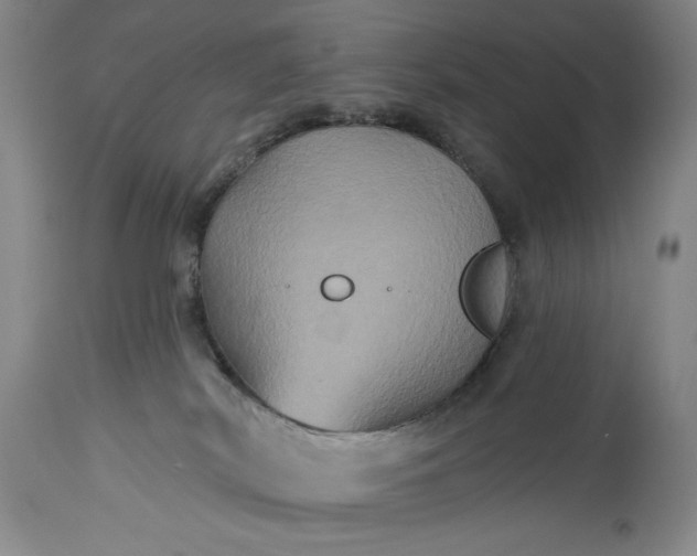 X0000115330038200911161819