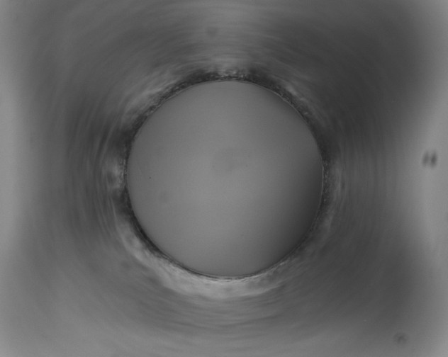 X0000115330039200911161819