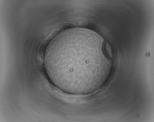 X0000115330040200911161819