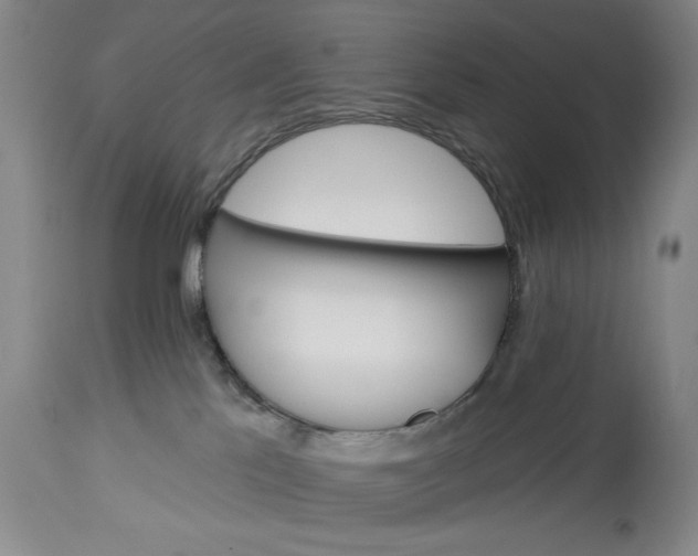 X0000115330041200911161819