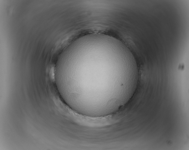 X0000115330042200911161819