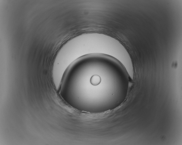 X0000115330045200911161819