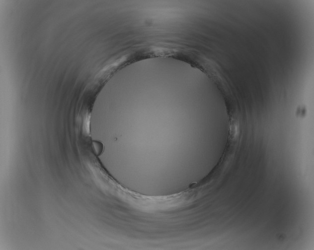 X0000115330046200911161819