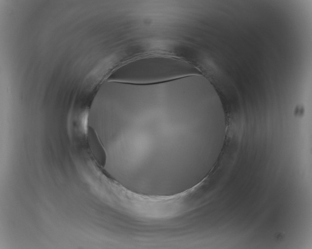 X0000115330047200911161819