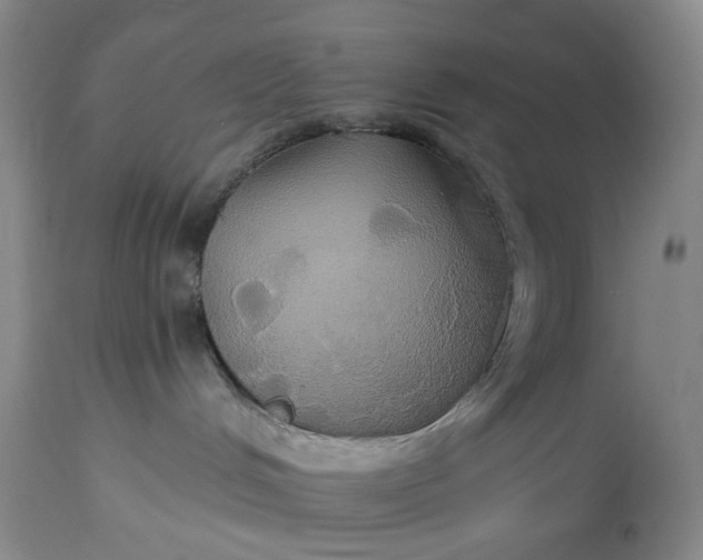 X0000115330048200911161819