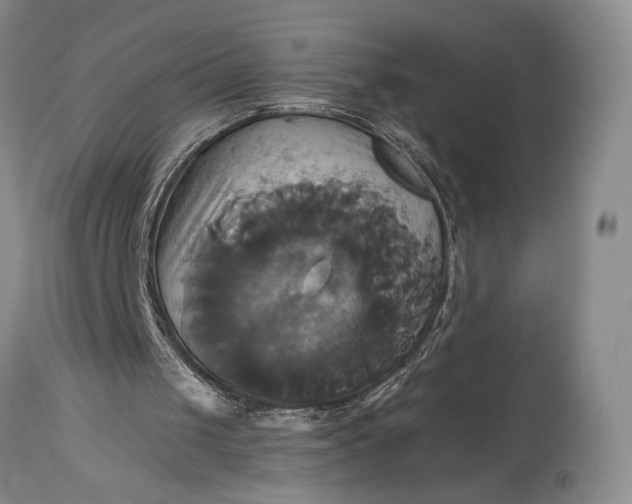 X0000115330049200911161818