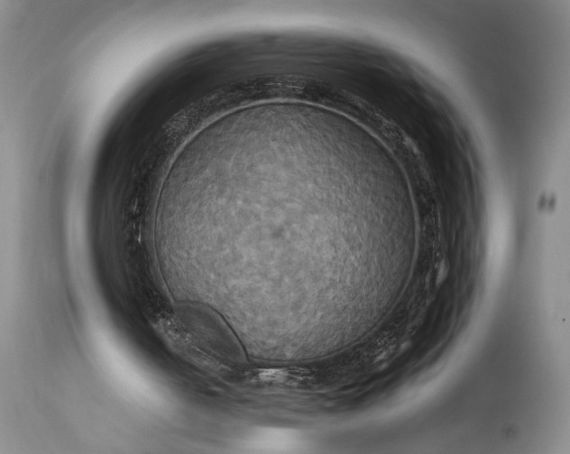 X0000115330050200911161818