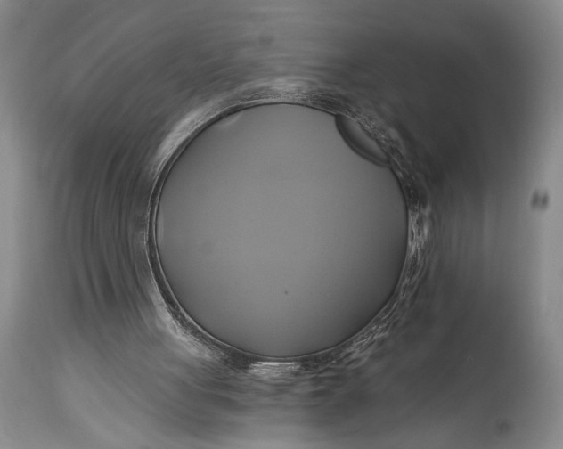 X0000115330051200911161818