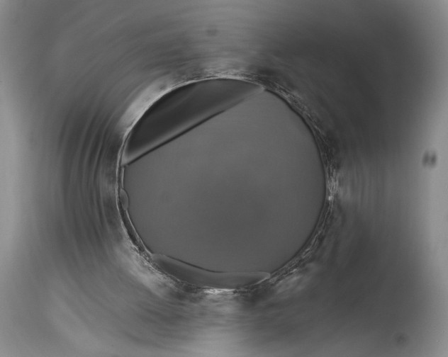 X0000115330052200911161818