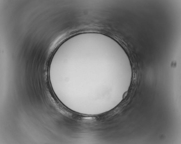 X0000115330053200911161818