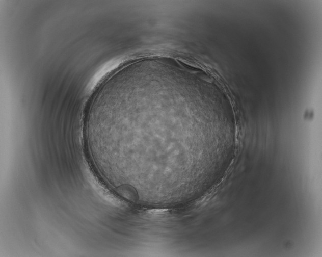 X0000115330054200911161818