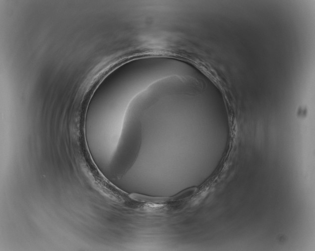 X0000115330055200911161818