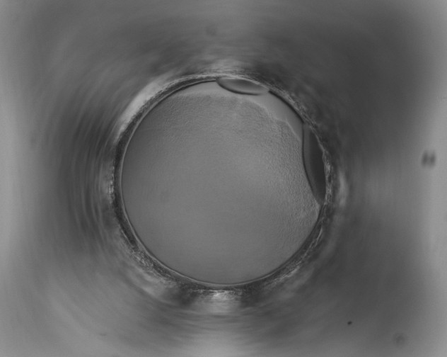 X0000115330056200911161818