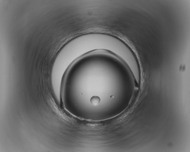 X0000115330057200911161818