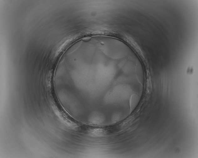 X0000115330058200911161818