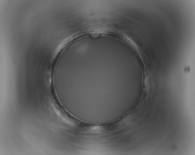 X0000115330059200911161818