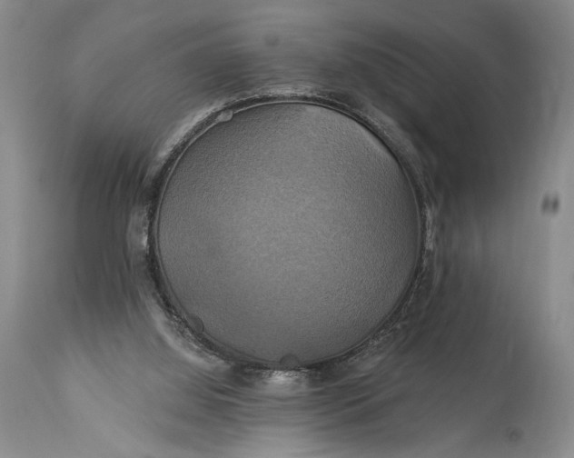 X0000115330060200911161818