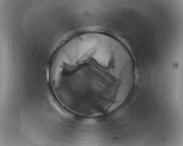 X0000115330061200911161818