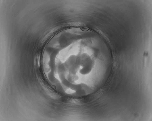 X0000115330062200911161819