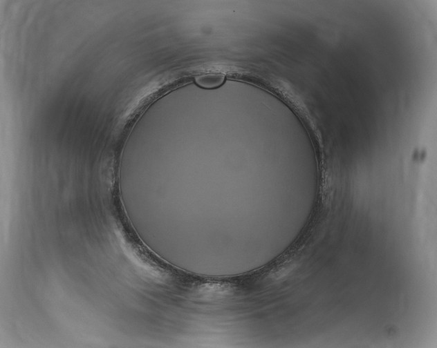 X0000115330063200911161819