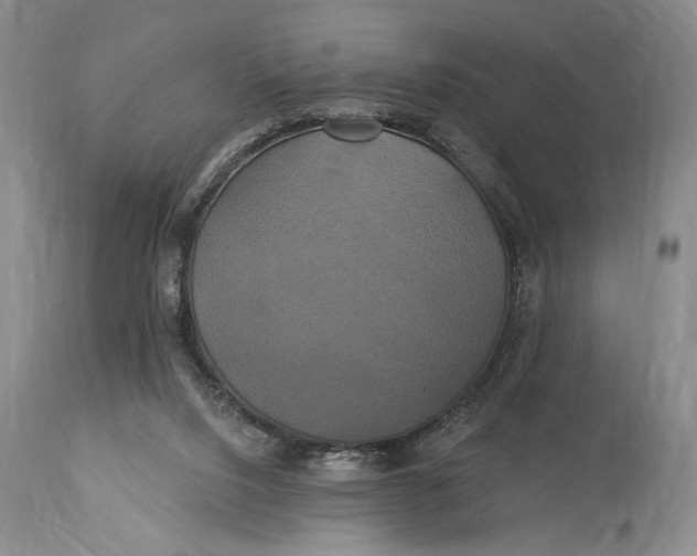 X0000115330064200911161819