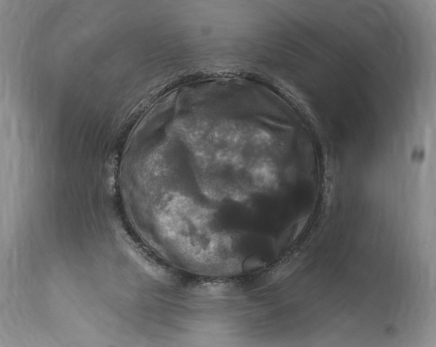 X0000115330065200911161819