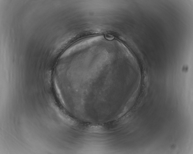 X0000115330066200911161819