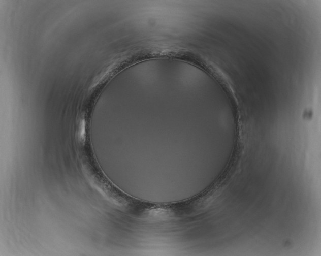 X0000115330067200911161819