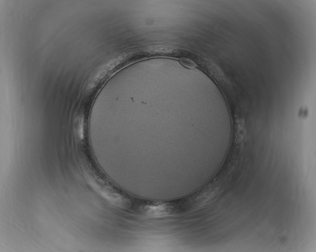 X0000115330068200911161819