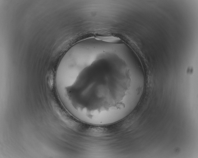 X0000115330069200911161819