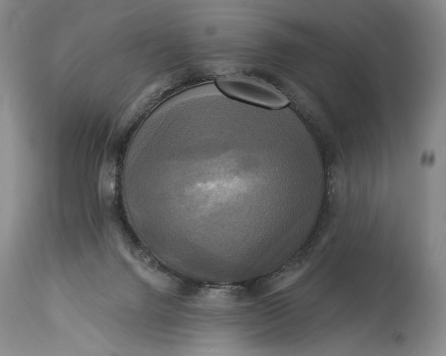 X0000115330072200911161819